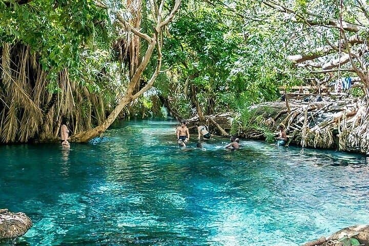 Jozani Forest Half-Day: Discover Red Colobus & Mangrove Boardwalk photo 5