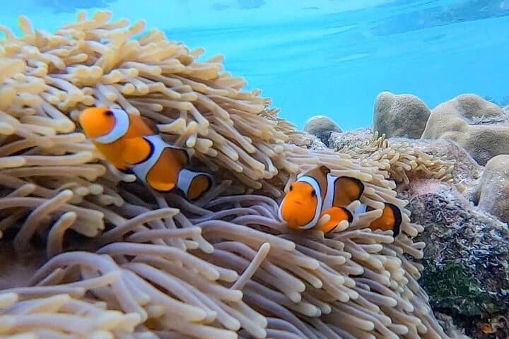 Angthong National Marine Park: 42-Island Speedboat Day Trip from Koh Samui photo 4