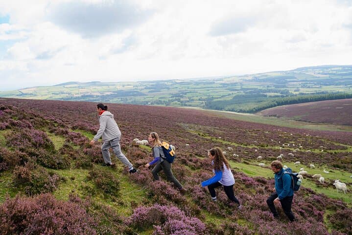 Full-Day Wicklow Mountains & Glendalough Shore Excursion from Dublin photo 5