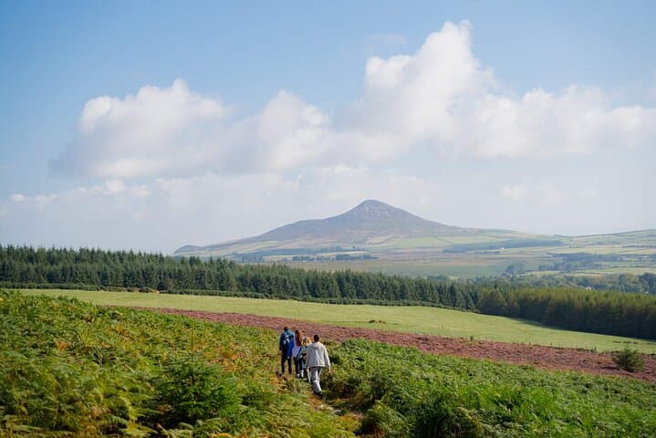 Full-Day Wicklow Mountains & Glendalough Shore Excursion from Dublin photo 6