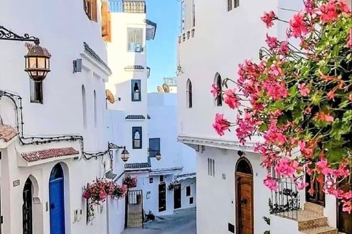 Chefchaouen and Fes: 2-Day Guided Adventure from Tangier photo 3