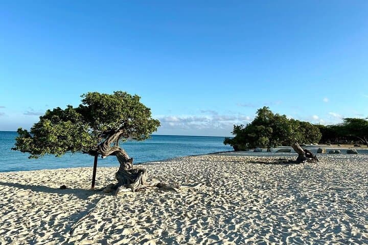 Aruba Cave Pool & Beach Tour — Snorkel Caves, Natural Pool and Turtle Beaches photo 6