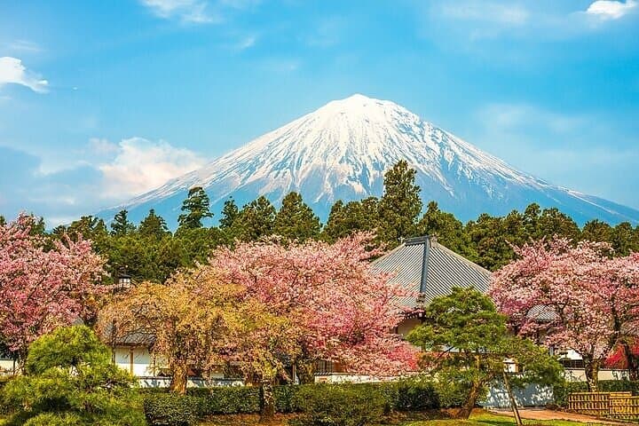 Day Trip to Mount Fuji: 5th Station, Arakurayama, Oshino Hakkai & Hot Springs photo 2