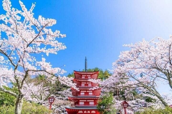Day Trip to Mount Fuji: 5th Station, Arakurayama, Oshino Hakkai & Hot Springs photo 3