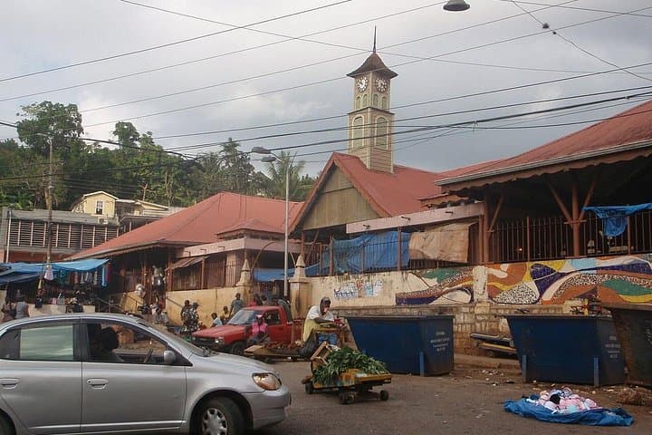 All-In-One Saint Ann Full-Day Tour: Dunn's River, Brown’s Town Market & Marcus Garvey Heritage photo 4