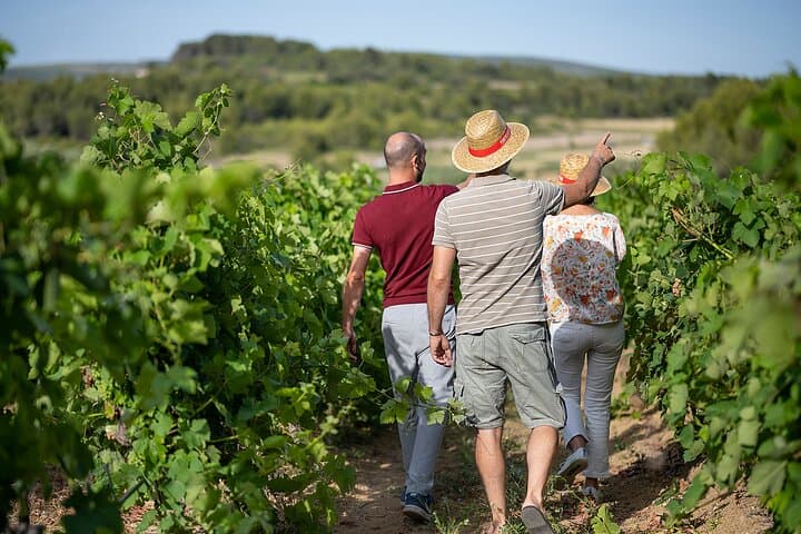 Cruise Languedoc Vineyards in a Classic 2CV: Wine, Oysters, and Sunlit Lanes photo 2