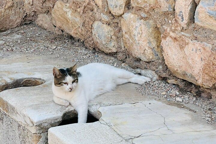 Private Ephesus Tour from Kuşadası: Ancient Ruins, Lunch & Optional Hammam photo 6