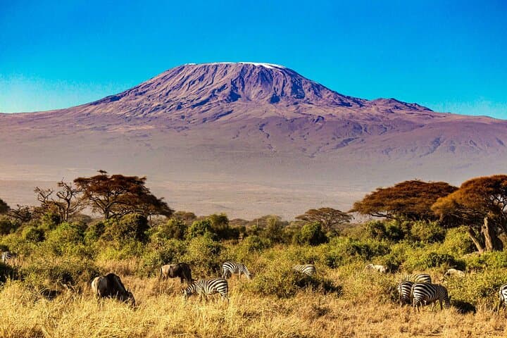 7-Day Machame Route: Kilimanjaro Camping Trek with Extra Acclimatization