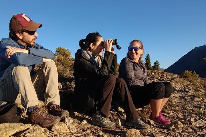 Sunset Hike Through Lengas Forest — Bariloche Guided Evening Trek photo 2