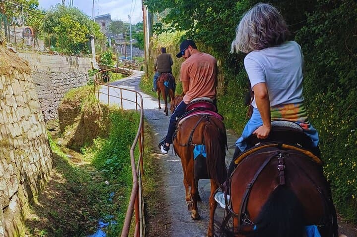 Sorrento Coastal Horseback Riding Tour from Sant'Agata photo 3