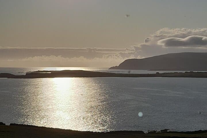 Puffin Express: Sumburgh Head Puffin & Seabird Tour from Lerwick photo 3