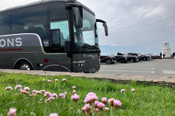 Puffin Express: Sumburgh Head Puffin & Seabird Tour from Lerwick photo 5