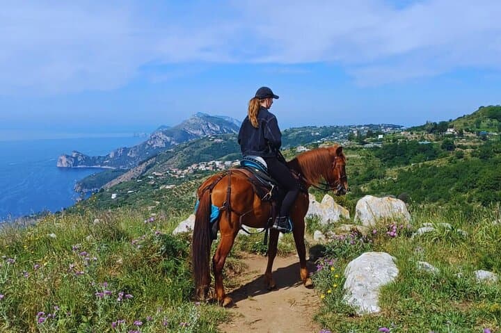 Sorrento Peninsula 3-Hour Guided Horseback Ride from Sant'Agata