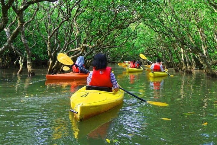 22-Day East Africa Safari: Rwanda, Uganda, Kenya, Tanzania & Zanzibar Adventure