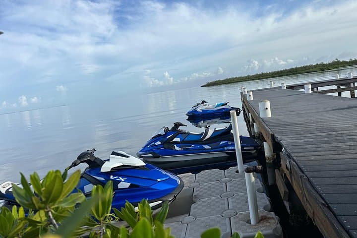 3-Hour Island Life Jet Ski Tour — Stingray City, Rum Point & Starfish Point photo 2