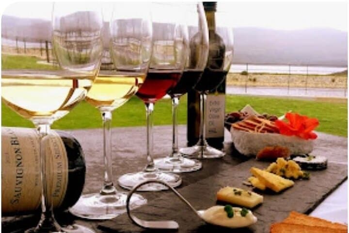 Hermanus Whale Watching, Lunch & Benguela Cove Wine Tasting photo 3
