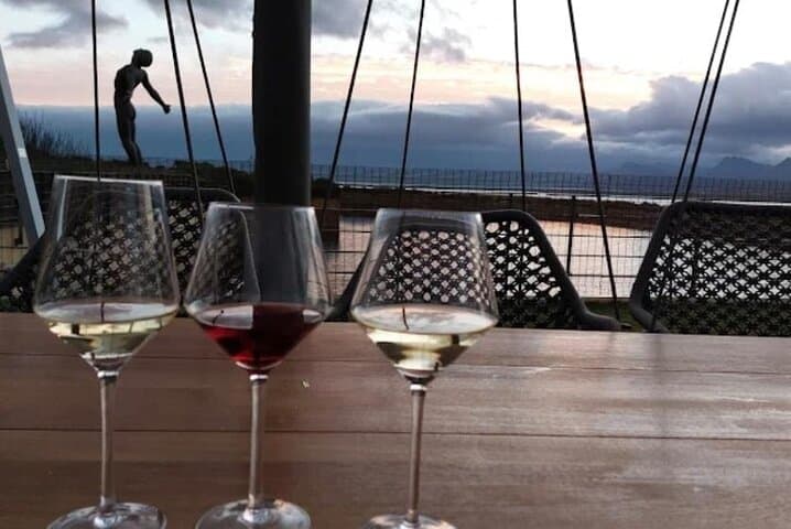 Hermanus Whale Watching, Lunch & Benguela Cove Wine Tasting photo 4