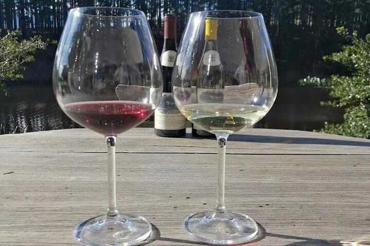 Hermanus Whale Watching, Lunch & Benguela Cove Wine Tasting photo 5