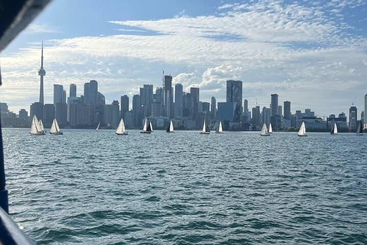 Customizable Walking Tour of Toronto's Hidden Gems — Local-Led 3-Hour Urban Exploration photo 4