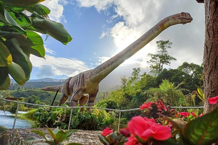 Bajos del Toro Jurassic Adventure: Waterfalls, Blue Lagoons & Angel Wings from La Fortuna