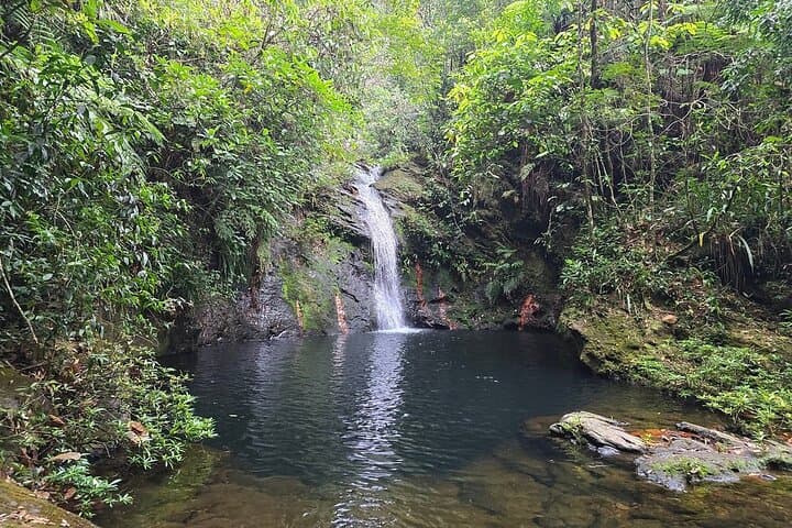 Placencia Jungle Hike to Cockscomb Waterfalls — Day Trip into Belize's Jaguar Preserve photo 3