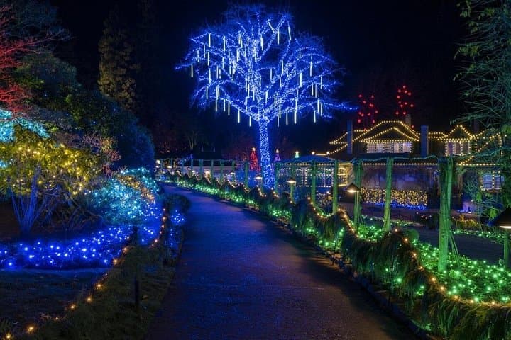 Victoria After Dark: Butchart Gardens Christmas Lights & Festive City Tour photo 2