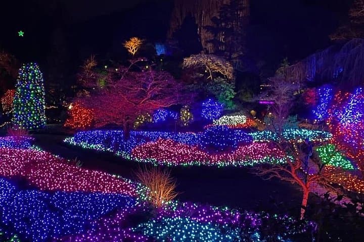 Victoria After Dark: Butchart Gardens Christmas Lights & Festive City Tour photo 3