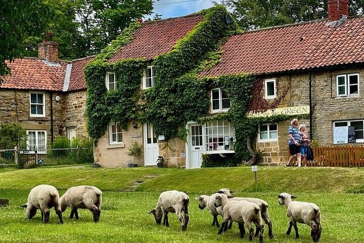 Runswick Bay, Staithes & Whitby: North York Moors Small-Group Coastal Tour photo 2