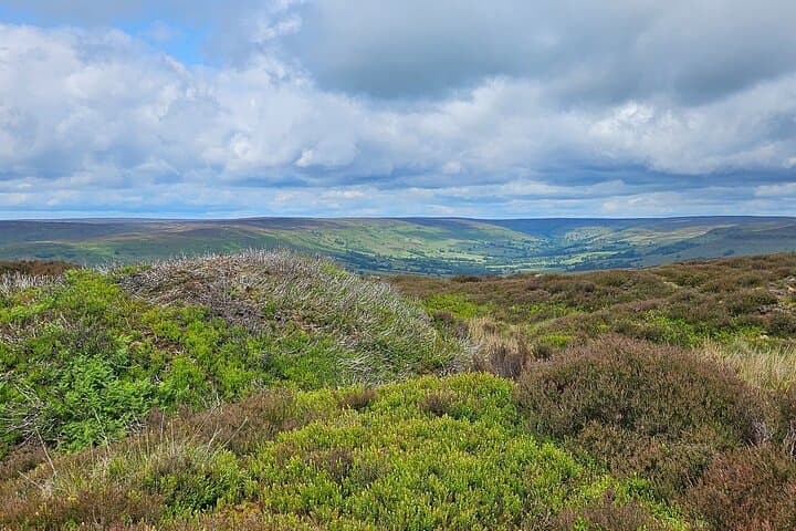 Runswick Bay, Staithes & Whitby: North York Moors Small-Group Coastal Tour photo 3
