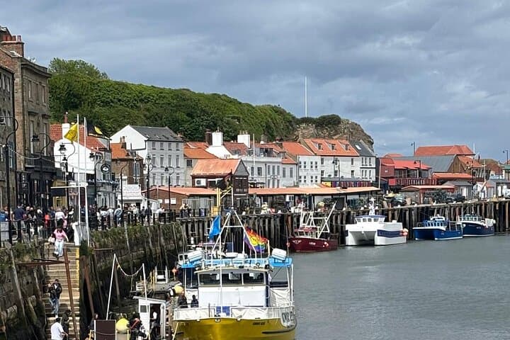 Runswick Bay, Staithes & Whitby: North York Moors Small-Group Coastal Tour photo 4