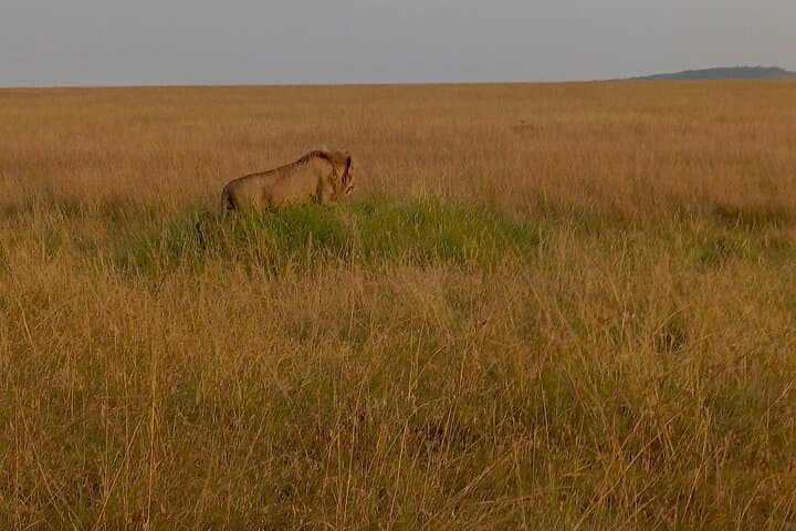 22-Day East Africa Safari: Rwanda, Uganda, Kenya, Tanzania & Zanzibar Adventure photo 3