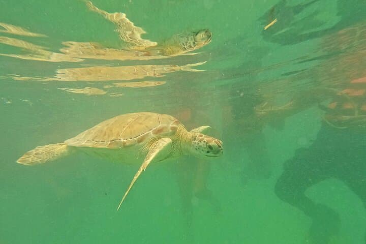 Tulum Ruins, Akumal Turtle Snorkel & Underground Cenote Day Trip photo 6