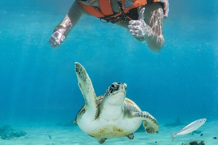 Tulum Ruins, Akumal Turtle Snorkel & Underground Cenote Day Trip photo 4