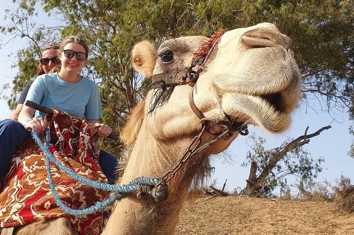 Sunset Camel Ride on the Souss River: Agadir Camel Trek with Mint Tea & Moroccan Cakes