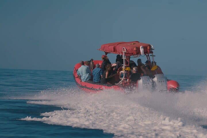 Molokini Crater 2-Hour Snorkel Trip from Kihei photo 2