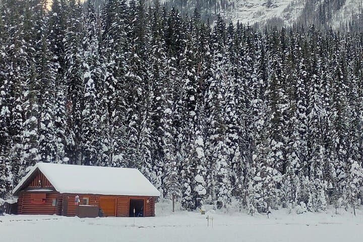 Icefields Parkway Highlights: Lake Louise, Peyto & Johnston Canyon Day Tour photo 5