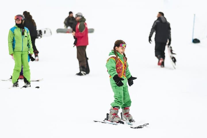 Farellones Park Tour: Andes Canopy, Tubing and Panoramic Chair Rides from Santiago photo 5