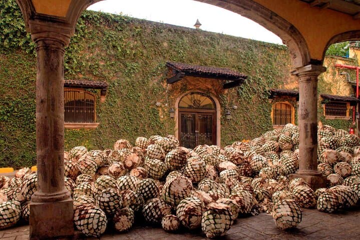 Jose Cuervo Express: Tequila Day Trip from Guadalajara photo 3