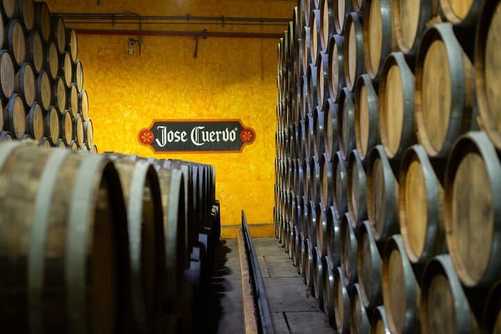 Jose Cuervo Express Premium Plus Sunrise: Tequila Day Trip from Guadalajara photo 5