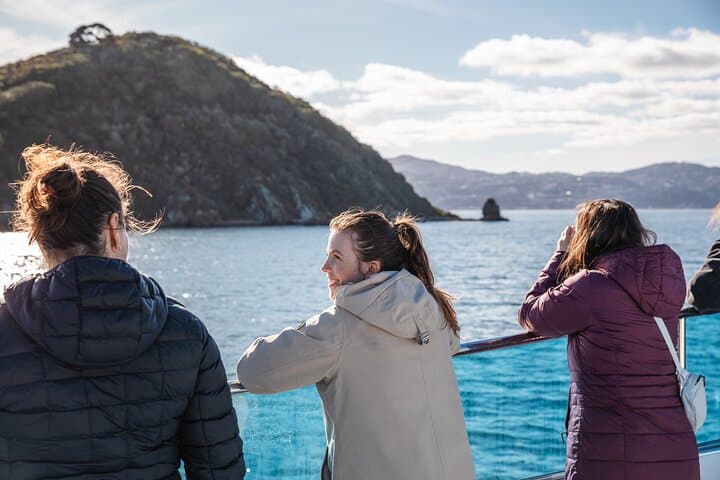 Wellington Harbour Electric 90-Minute Cruise — Zero-Emissions Sightseeing photo 6