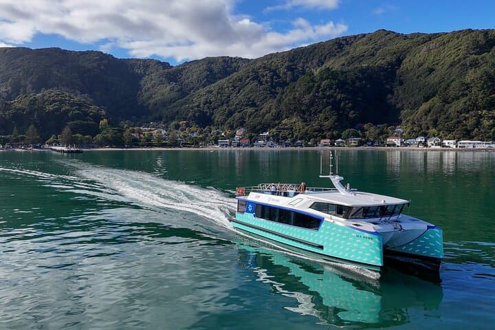 Wellington Harbour Electric 90-Minute Cruise — Zero-Emissions Sightseeing