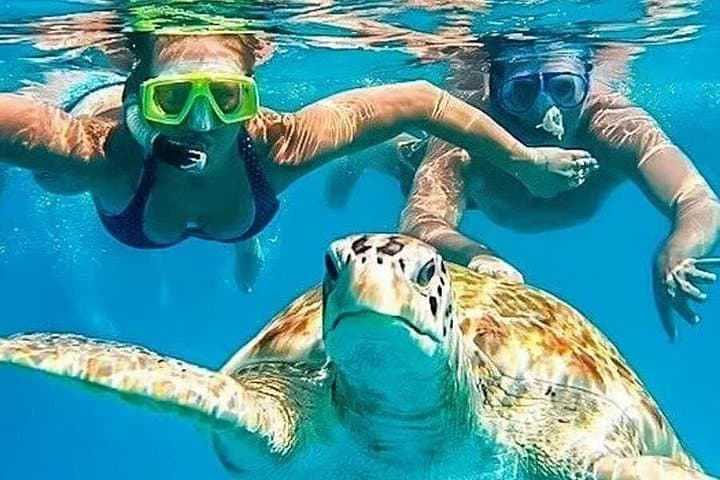 Swim with Green Turtles: Full-Day Coastal Tour from Piura to Máncora