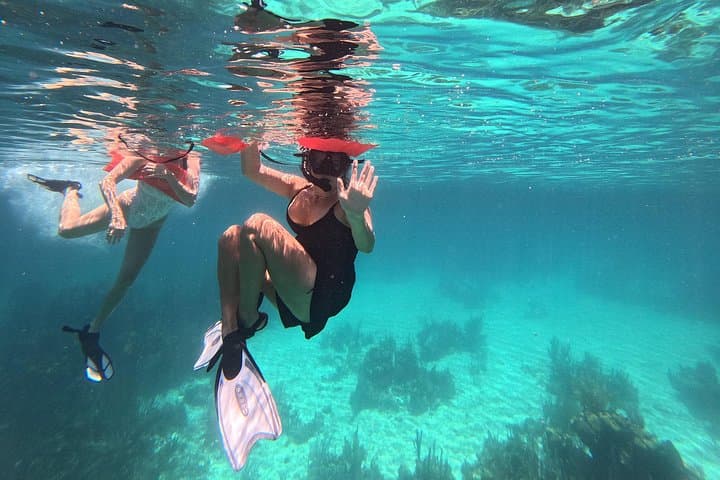Hopkins Barrier Reef Snorkeling: South Water Caye Day Trips photo 3