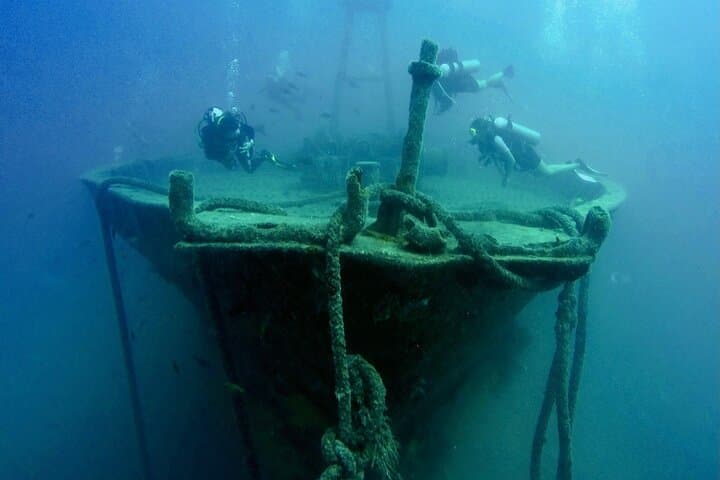 La Paz Scuba Diving Adventure to Espiritu Santo: Sea Lions, Manta Rays & Two Dives photo 5