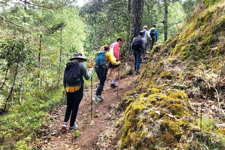 Half-Day Hike to La Cumbre Ixtepeji: Sierra Norte Cloud-Forest Views from Oaxaca photo 2