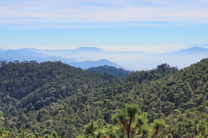 Half-Day Hike to La Cumbre Ixtepeji: Sierra Norte Cloud-Forest Views from Oaxaca photo 5