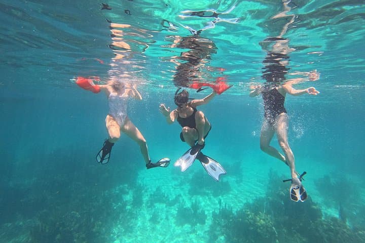 Hopkins Barrier Reef Snorkeling: South Water Caye Day Trips photo 2