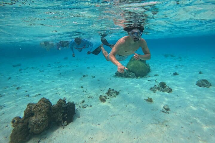 Hopkins Barrier Reef Snorkeling: South Water Caye Day Trips