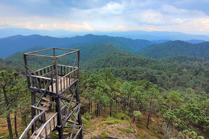 Half-Day Hike to La Cumbre Ixtepeji: Sierra Norte Cloud-Forest Views from Oaxaca