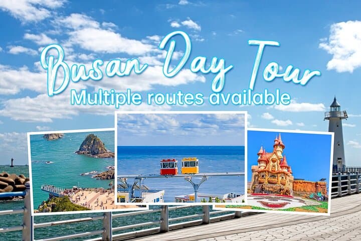 Explore Busan: Customized Private Day Tour Experience